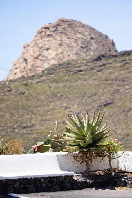 El Retamar, Naturaleza Y Paisajes Santiago Del Teide Bagian luar foto